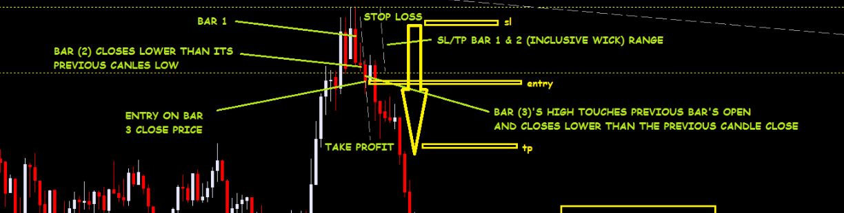 0_1551931930049_3 bear candles.JPG