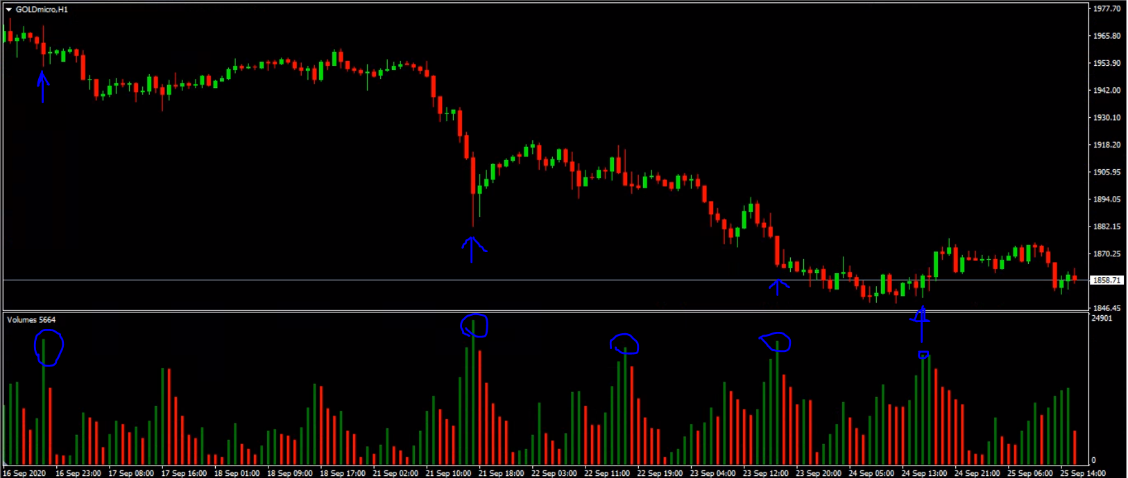 0_1601040512805_selectcandlevolumes.PNG